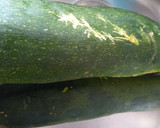 Foto del paso 1 de la receta: Lasaña de calabacín