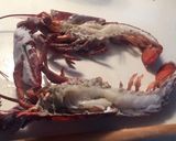 Une image de l'étape 6 de Table de Noël  (assiette d’homard).
