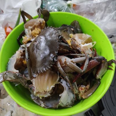 Langkah 1