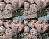 Foto del paso 6 de la receta: Bollitos integrales