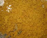 A picture of step 3 of Bassan ka halwa.