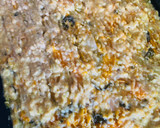 Foto del paso 7 de la receta: MASA PARA TARTA SALADA EN LICUADORA 🥧