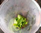 Foto del paso 2 de la receta Refresco de melocotón, frambuesas y hierbabuena