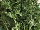 Thí nghiệm cùng cải xoăn: kale salad và kale chip bước làm 2 hình