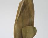 Zong zi recipe step 4 photo