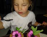 Фото кроку 8 до Горшочки с шоколадным пудингом / Chocolate pudding pots.