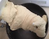 A picture of step 1 of California Farm Sour Dough Stone Baked Bread.