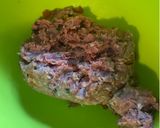 A picture of step 3 of Greek meatballs (keftedakia).