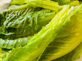 Spicy 🌶️ Shrimp 🍤 Lettuce 🥬 Salad