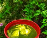 व्रत वाला पालक पनीर (Vrat wala palak paneer recipe in hindi) रेसिपी चरण 8 फोटो