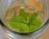 Une image de l'étape 3 de 🌱Eau aromatisée Melon Menthe (antigaspi).