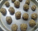 Foto del paso 2 de la receta: Pepitas de avena