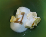 Foto del paso 1 de la receta: Cake empedrado de manzanas