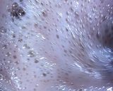 عکس مرحله 7 از دستور آبنبات شیری بازاری (گل محمدی)