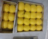 Foto langkah ke 7 dari resep Roti Sobek Labu Kuning.