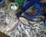 Hình bước làm 1 của món Cá hồng rán