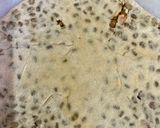 A picture of step 6 of Moong dal parantha.