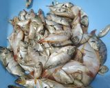 Foto langkah ke 1 dari resep Pepes Ikan Kecil.