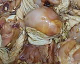 Foto langkah ke 2 dari resep Chicken Adobo.