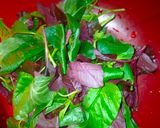 Foto langkah ke 1 dari resep Sayur Bayam Wortel.