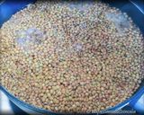 Foto del passaggio 3 della ricetta Zuppa di Lenticchie di Castelluccio di Norcia IGP
