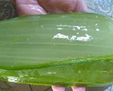 Foto langkah ke 1 dari resep Cara Mengolah Lidah Buaya.