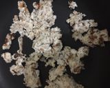 Foto langkah ke 1 dari resep Gula merah keto.