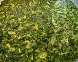 Foto del paso 3 de la receta: Cocido montañés