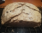 Foto del paso 7 de la receta: Pan de nueces y pasas sultanas sin amasado