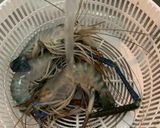 รูปขั้นตอนการทำที่ 2 ของ สปาเกตตีซอสครีมเห็ดท็อปปิ้งกุ้งย่างเนย