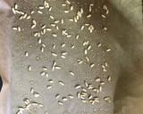 Foto del paso 3 de la receta: Hojaldre de berenjena 🙃