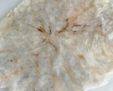 Foto del paso 6 de la receta: Carpaccio de langostinos