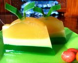 Foto langkah ke 6 dari resep Puding santan gula merah😊.