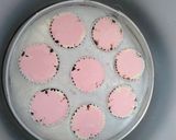 Foto langkah ke 4 dari resep Bolu Kukus.