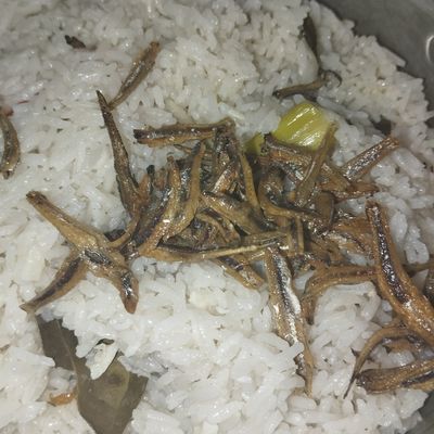 Langkah 4