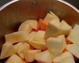 Foto del paso 2 de la receta Crema de calabaza y manzana con Thermomix