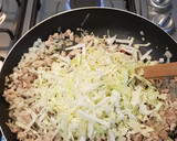 Foto del paso 3 de la receta: Empanadas chinas o Arrolladitos Primavera