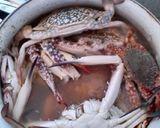 Foto langkah ke 1 dari resep Kepiting Asam Manis.