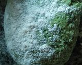 Foto del paso 2 de la receta: Falsos Ravioles