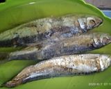 Foto langkah ke 1 dari resep Tumis Pare Ikan Asin.