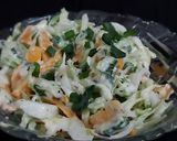 કોલસ્લો સલાડ (Coleslaw Salad Recipe In Gujarati) રેસીપી સ્ટેપ2ફોટો