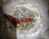 A picture of step 4 of Orissa Special Masala Odia Dalma.