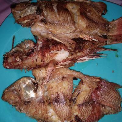 Website Bikin Kartu Kuning