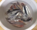 Foto del paso 2 de la receta: Boquerones en Vinagre