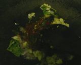 Foto langkah ke 3 dari resep Nasi Goreng Mawut Bumbu Sambel Terasi.