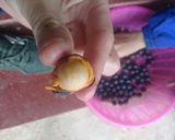 Hình bước làm 3 của món Quả mác liềng (vùng núi)