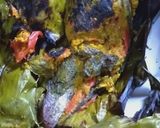 Foto langkah ke 7 dari resep Pepes asam muda ikan nila sungai.