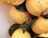 Une image de l'étape 3 de Jus cédrat 🍈ananas🥭🍋 miel cannelle 🍯.