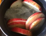 Foto langkah ke 1 dari resep Apple seeds snack.