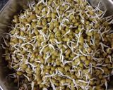 A picture of step 1 of Sprouted moong & potato usal.